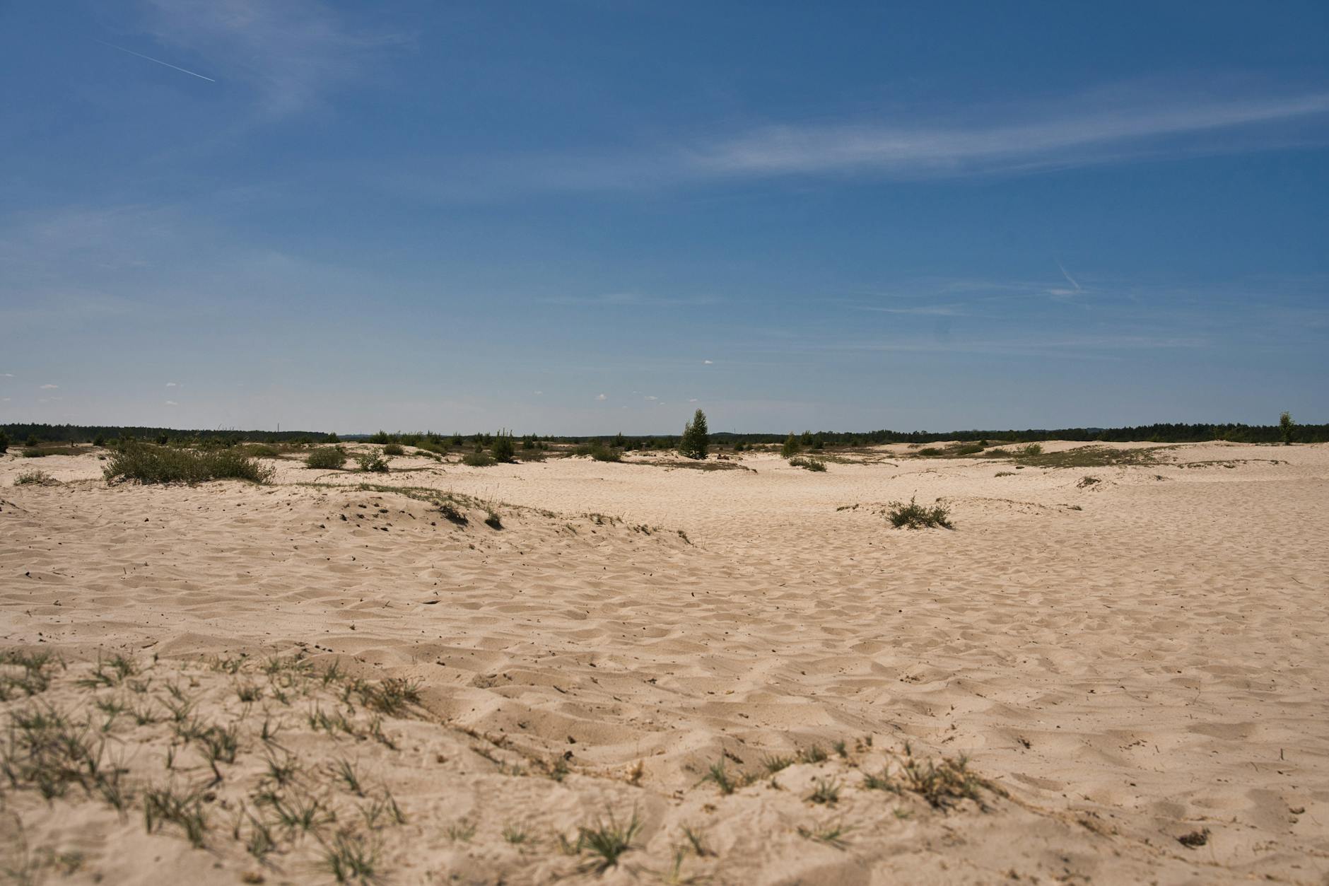 Pralka hałasuje przy wirowaniu: łożyska czy coś prostszego?