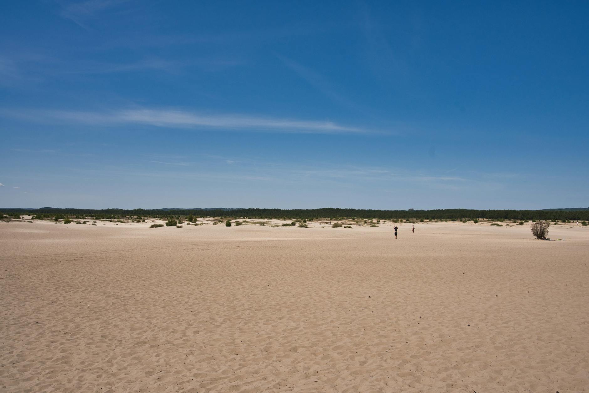 Pralka hałasuje przy wirowaniu: łożyska czy coś prostszego?